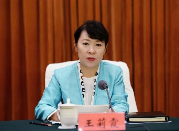 正部级王莉霞，被逮捕