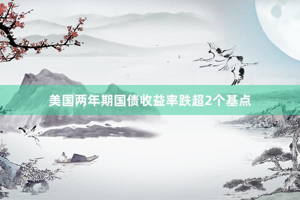 美国两年期国债收益率跌超2个基点