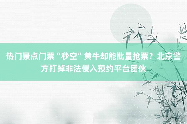 热门景点门票“秒空”黄牛却能批量抢票？北京警方打掉非法侵入预约平台团伙