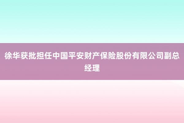 徐华获批担任中国平安财产保险股份有限公司副总经理