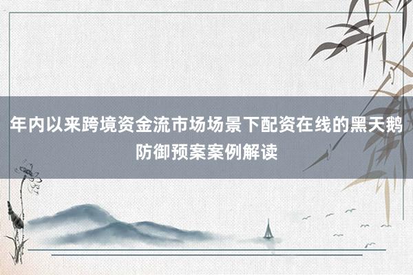 年内以来跨境资金流市场场景下配资在线的黑天鹅防御预案案例解读