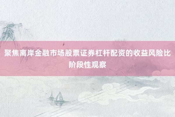 聚焦离岸金融市场股票证券杠杆配资的收益风险比阶段性观察