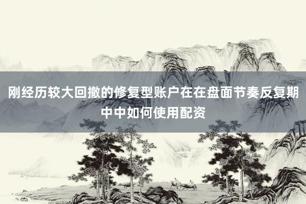 刚经历较大回撤的修复型账户在在盘面节奏反复期中中如何使用配资