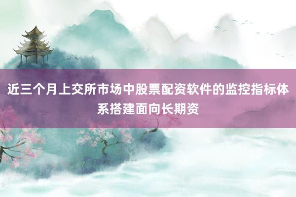 近三个月上交所市场中股票配资软件的监控指标体系搭建面向长期资