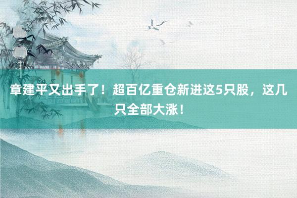 章建平又出手了！超百亿重仓新进这5只股，这几只全部大涨！