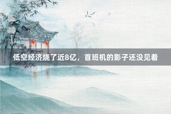 低空经济烧了近8亿，首班机的影子还没见着