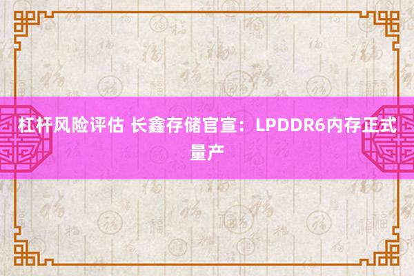 杠杆风险评估 长鑫存储官宣：LPDDR6内存正式量产