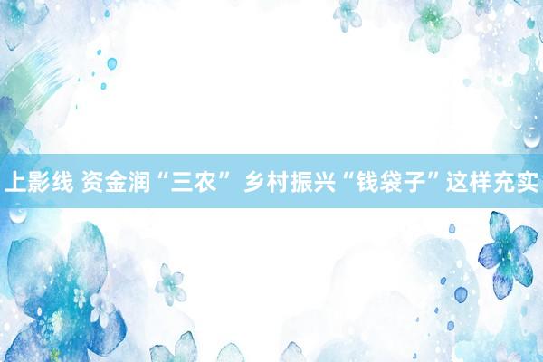 上影线 资金润“三农” 乡村振兴“钱袋子”这样充实