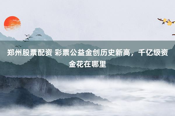 郑州股票配资 彩票公益金创历史新高,千亿级资金花在哪里