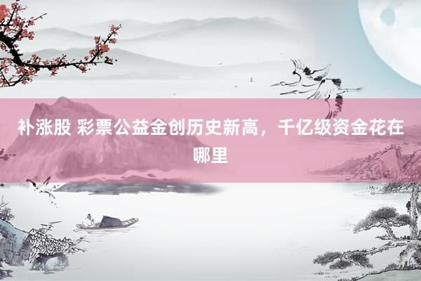 补涨股 彩票公益金创历史新高，千亿级资金花在哪里