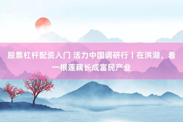 股票杠杆配资入门 活力中国调研行丨在洪湖，看一根莲藕长成富民产业