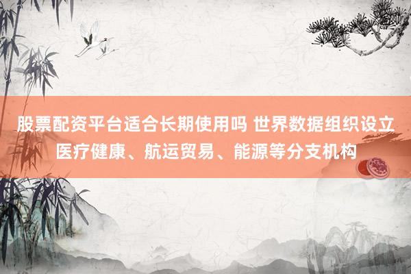 股票配资平台适合长期使用吗 世界数据组织设立医疗健康、航运贸易、能源等分支机构