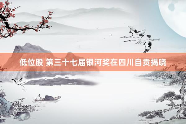 低位股 第三十七届银河奖在四川自贡揭晓