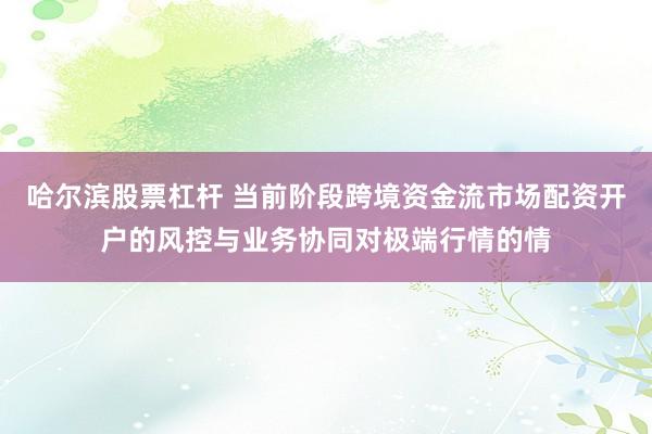哈尔滨股票杠杆 当前阶段跨境资金流市场配资开户的风控与业务协同对极端行情的情