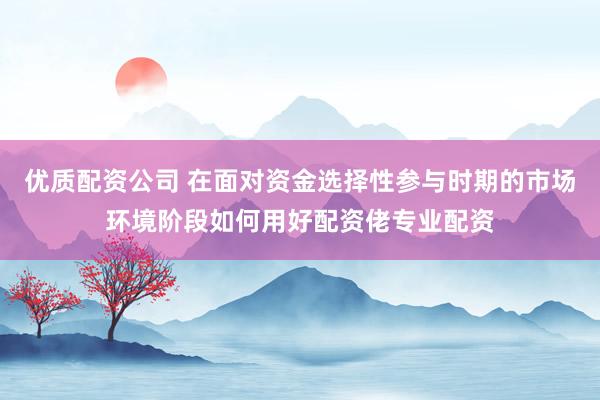 优质配资公司 在面对资金选择性参与时期的市场环境阶段如何用好配资佬专业配资