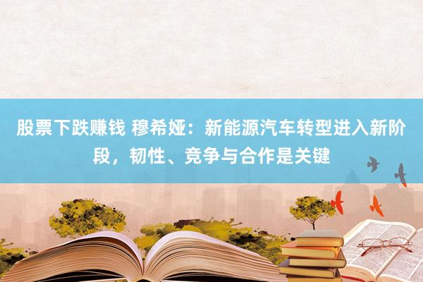 股票下跌赚钱 穆希娅：新能源汽车转型进入新阶段，韧性、竞争与合作是关键