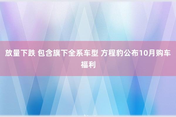 放量下跌 包含旗下全系车型 方程豹公布10月购车福利